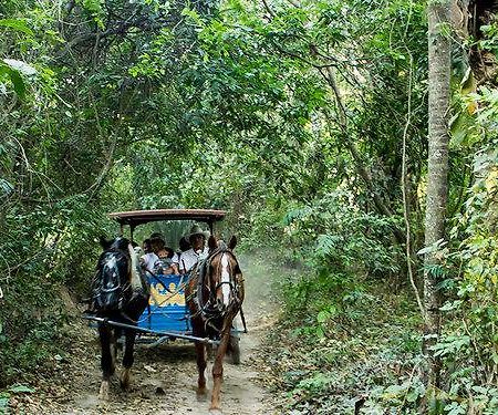 Guembe Biocentro & Resort Santa Cruz de La Sierra Exteriör bild